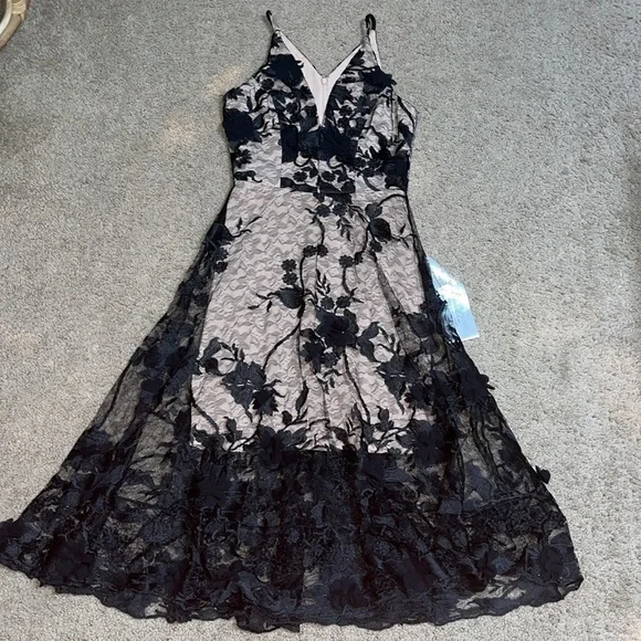Dress the Population Audrey‎ Sheer Floral Overlay A-Line Sleeveless V-Neck XS